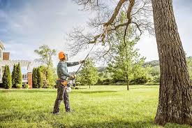 Tree and Shrub Care in Hudson, MI